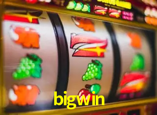 A Experiência Imersiva dos Cassinos Ao Vivo no bigwin