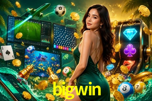 Experiência VIP bigwin